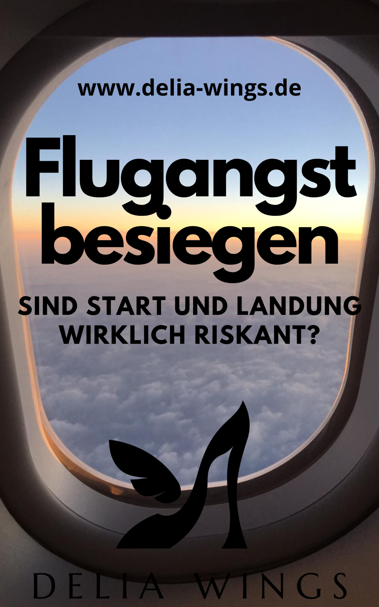 Flugangst besiegen Sind Start und Landung wirklich riskant? Delia Wings